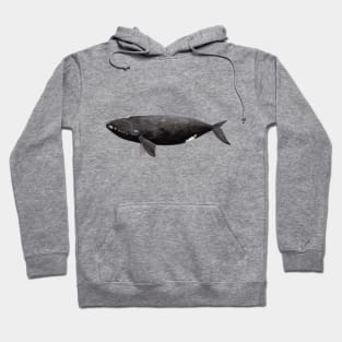 Northern right whale Hoodie